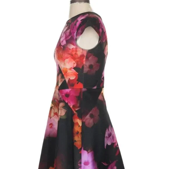 Ted Baker London Dress